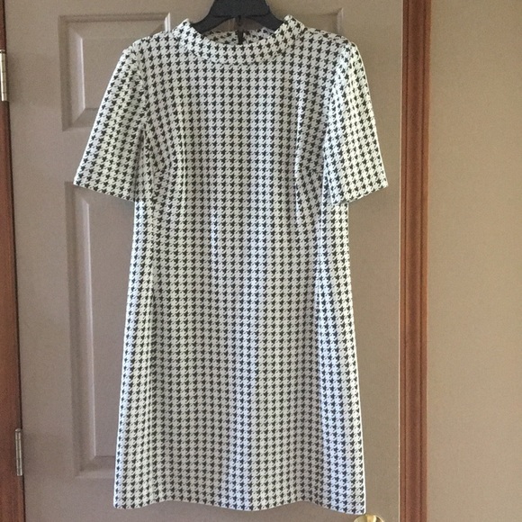 American Living Dresses & Skirts - Dress